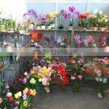 Qingdao Colorful World International Trade Co., Ltd. company overview - view 2 thumbnail