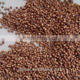 Price Of Red Sorghum thumbnail-2