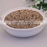 White Pepper thumbnail-1