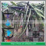 Plastic Garden Irrigation Micro Sprinkler With Nozzle Manufacturer