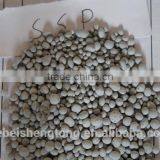 Granular/Powder Single Superphosphate 18% SSP Manufacture thumbnail-6