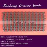 Plastic Square Flat Mesh/Square Plastic Mesh(China Factory) thumbnail-4
