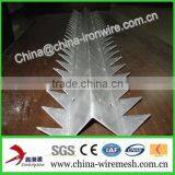 Galvanized Steel Wall Spikes / Anti-climb Spikes/ Security Spikes (factory ) thumbnail-5