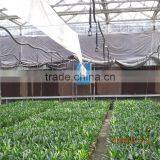 Multi Span Tunnel PE Plastic Film Hydroponic Systems Agricultural Commercial Greenhouse thumbnail-5