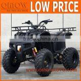 Cheap Price 250cc Multipurpose Use Quad thumbnail-1