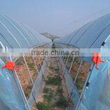 Plastic Film Tunnel Garden Greenhouse For Sale thumbnail-2