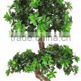 China Hot Sale Evergreen Fake Money Tree ,artificial Pachira thumbnail-3