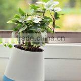 Swing Self-watering Flower Pot Easy to See Lack of Water thumbnail-6