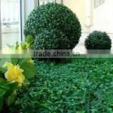 Plastic Grass Ball Ornament Factory Price Artificial Grass Topiary thumbnail-6