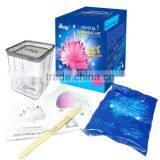 2015 China Best Crystal Growing Kit Manuafcturer With Factory thumbnail-5