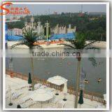 Latest Design Ourdoor Artificial Fack Fiberglass Coconut Tree Decoration Tree thumbnail-2