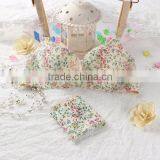 Sexy Net Designs Cheap Wholesale Nude Bra With PicturesStandard Women Sexy New Style Bra and Panty thumbnail-1