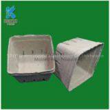 Paper Pulp Molded Fruit Packaging Box, Eco-friendly thumbnail-3