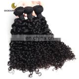 2016 Cheap natural factory price unprocessed malaysian curly hair wet and wavy
