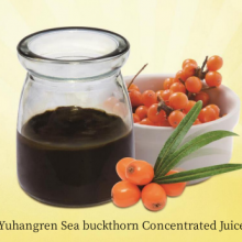 Sea Buckthorn Puree thumbnail-4