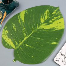 Waterproof Artificial Palm Leaf Shape Green Colored Placemat