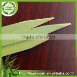 New Wholesale High Quality Top Quality Flat Kebab Skewers thumbnail-4