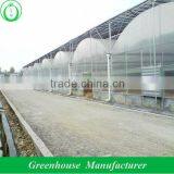 Multi Span Polycarbonate China Greenhouses