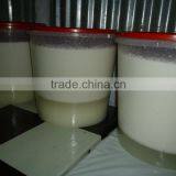 Indonesia Natural Centrifuge Extra Virgin Coconut Oil in Bulk thumbnail-4