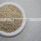 Powder Shape and 100% Pure Dried Garlic Powder thumbnail-2