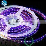 Good Quality Side View 5mm 3010 Led Strip Light