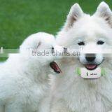 Low Cost Portable Diy Pet Gps Dog Tracker Collar thumbnail-3