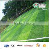 High Quality and Cost-effective V Shape Synthetic Artificial Grass for Soccer thumbnail-3