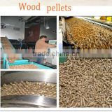 wood pellets factory