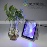 2 years New Design10w/20w/30w/50w led floodlight Hot Sale Outdoor Lamp