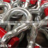 Hot Dip Galvanized Alloy Steel Bow Shackle thumbnail-3