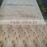 2-40mm Eucalyptus Plywood Cheap Price thumbnail-5
