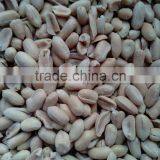 Roasted and Salted Blached Peanut thumbnail-1