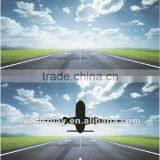 Domo Polarized Test Card