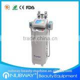 5 Handles Fast Slimming Third Generation Cryolipolisis Machine thumbnail-1