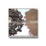 Herbs - Emblica Officinalis Oil/ Indian Gooseberry / Amla Dry Powder Oil