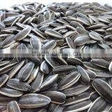 Hulled Sunflower Seeds 5009 With Good Quality thumbnail-4