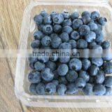 Bulk Wholesale Blueberry thumbnail-6
