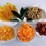 New Crop Chinese Dried Strawberry/Cantaloupe/kiwi/Apple /New Crop Dried Fruits thumbnail-1