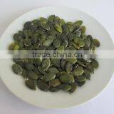 Inner Mogolia Pumpkin Kernels Grow Without Shell for US Market thumbnail-3