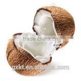 Cold Pressed Virgin Coconut Oil - Extra Virgin Organic thumbnail-2