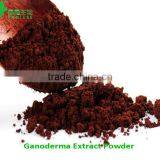 Organic Ganoderma Lucidum Extract Spore Powder