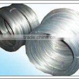 Electric Galvanized Wire (ISO 9001:2008)