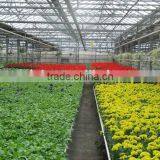 Large Multi-span Glass Green House Agriculture & Commercial Used Greenhouse,modern Greenhouse for Agriculture Farming and Grow thumbnail-4