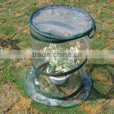 PVC Cover Greenhouse thumbnail-1