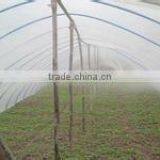 PE Plastic Film for Greenhouse/mulch/construction thumbnail-1