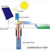 Durable Flexible Stable High Efficient Solar Pump System for Rice thumbnail-1