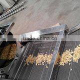 Corn Flakes/corn Chips Food Processing Line