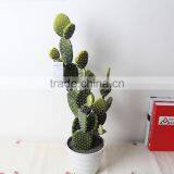 SJ1801212 Artificial Small Succulent Bonsai Plant/mini Cheap Plastic Plant thumbnail-1