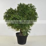SJ041116 Small bonsai ball plant topiary tree for indoor decoration