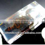Acrylic Resin Scorpion Paperweight Wholesale thumbnail-1